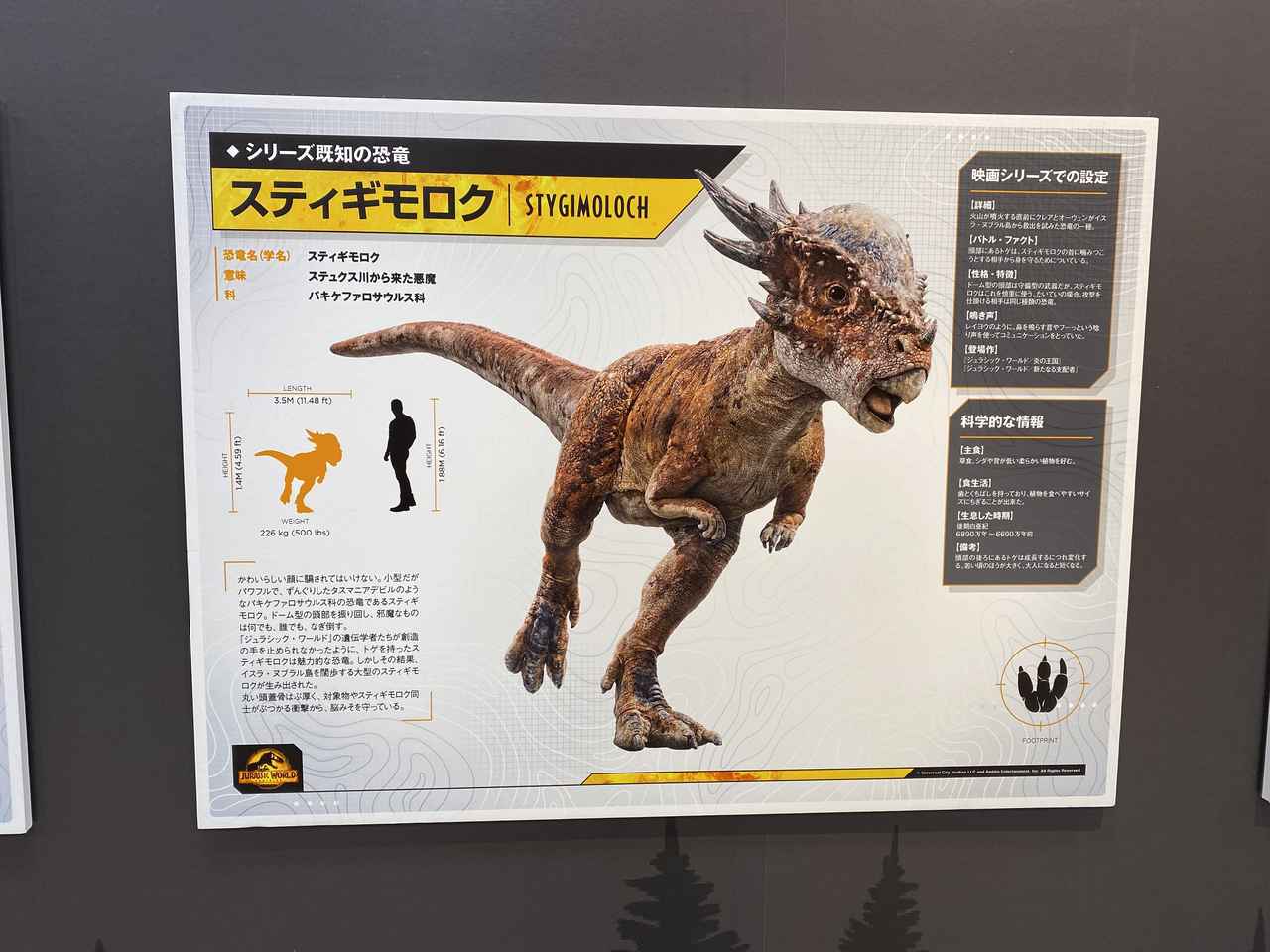 画像: JWポップアップストアにて撮影