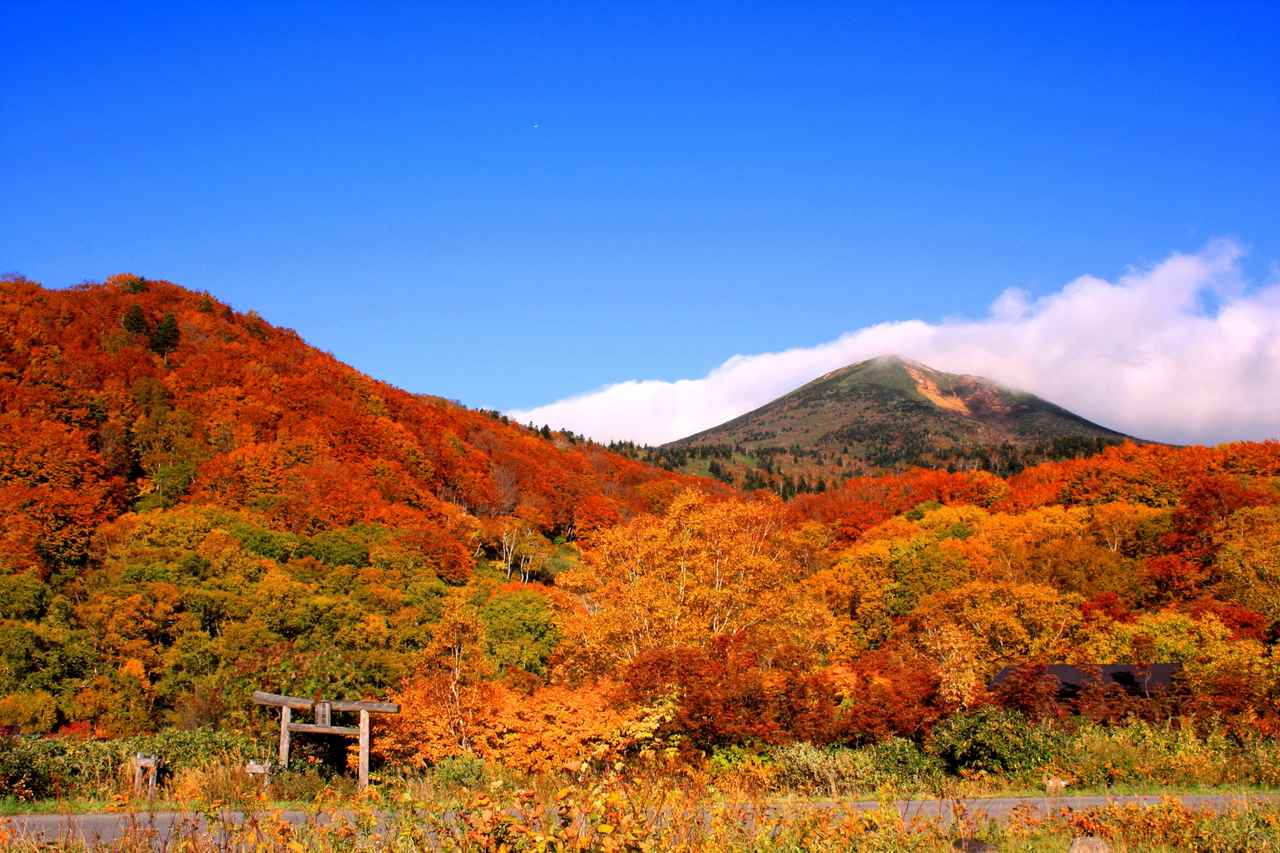 画像: 【ひとり旅プラン】絶景とともにアクティビティを楽しもう！ 秋のひとり旅5選 - singles （シングルス） - “おひとりさま”にフォーカスした情報サイト