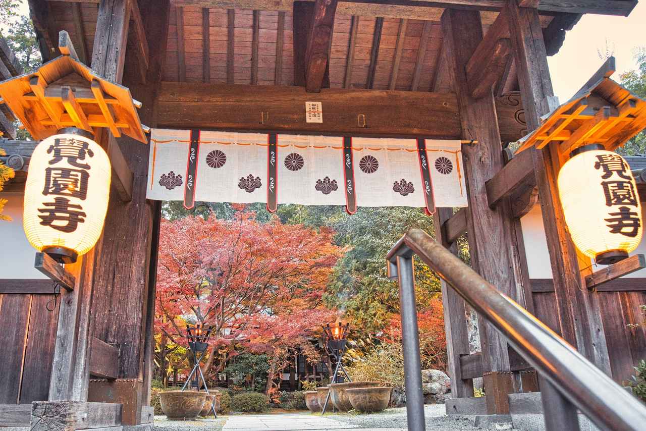 画像: 都心の美しい紅葉を満喫しよう