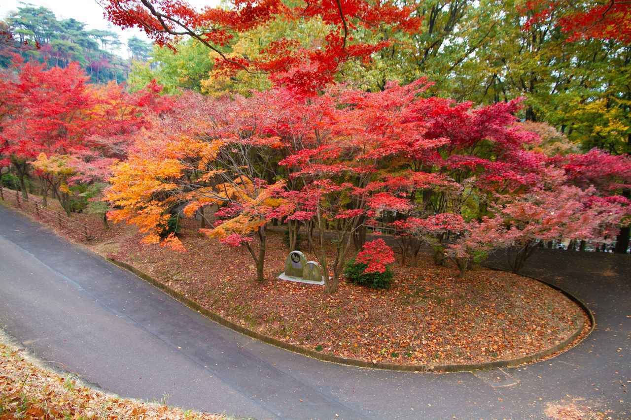 画像: 埼玉県、千葉県、茨城県、栃木県、群馬県のおすすめ紅葉スポット5選