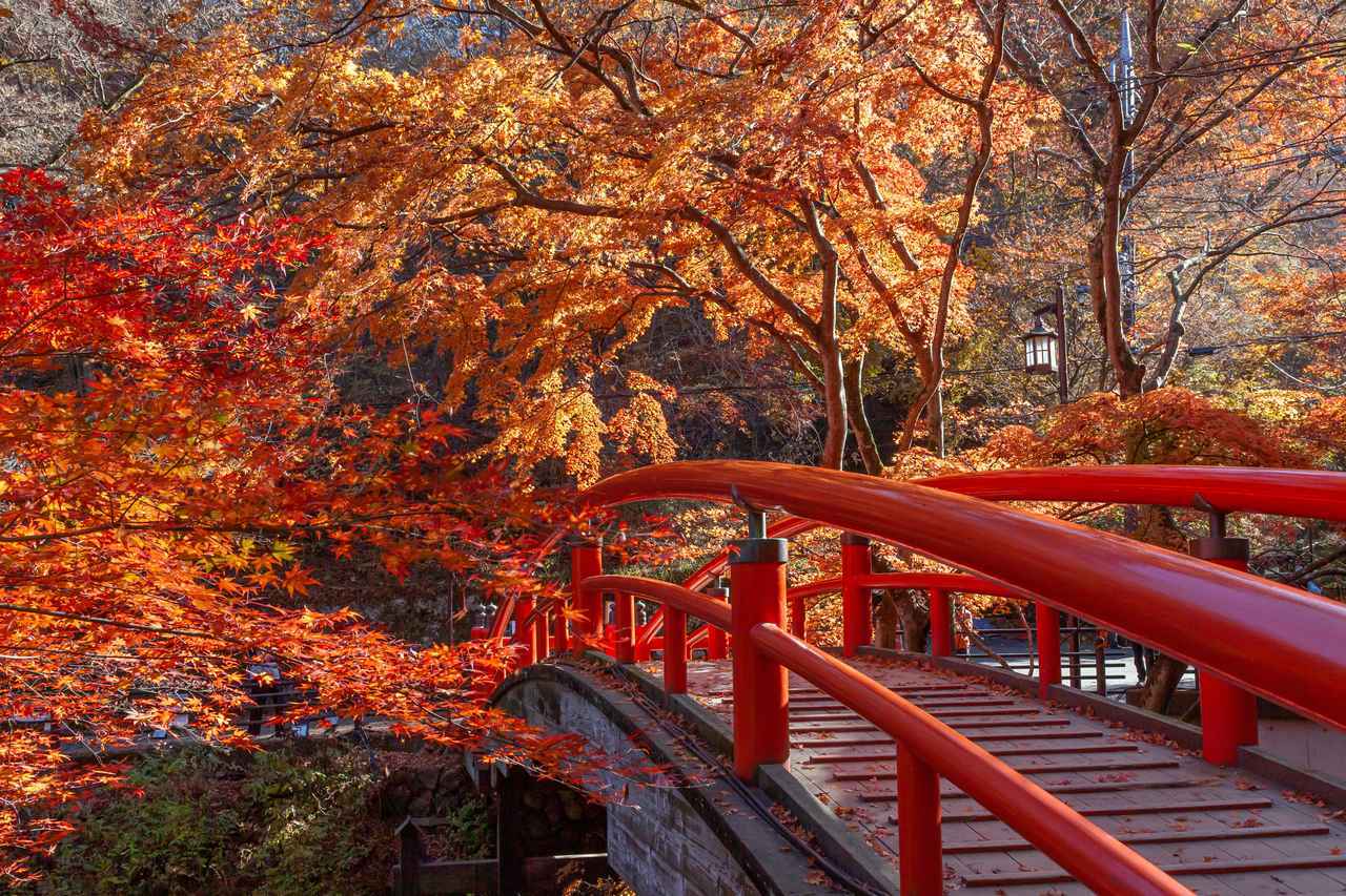 画像: 日帰りでもお泊まりでも。美しい紅葉を楽しもう