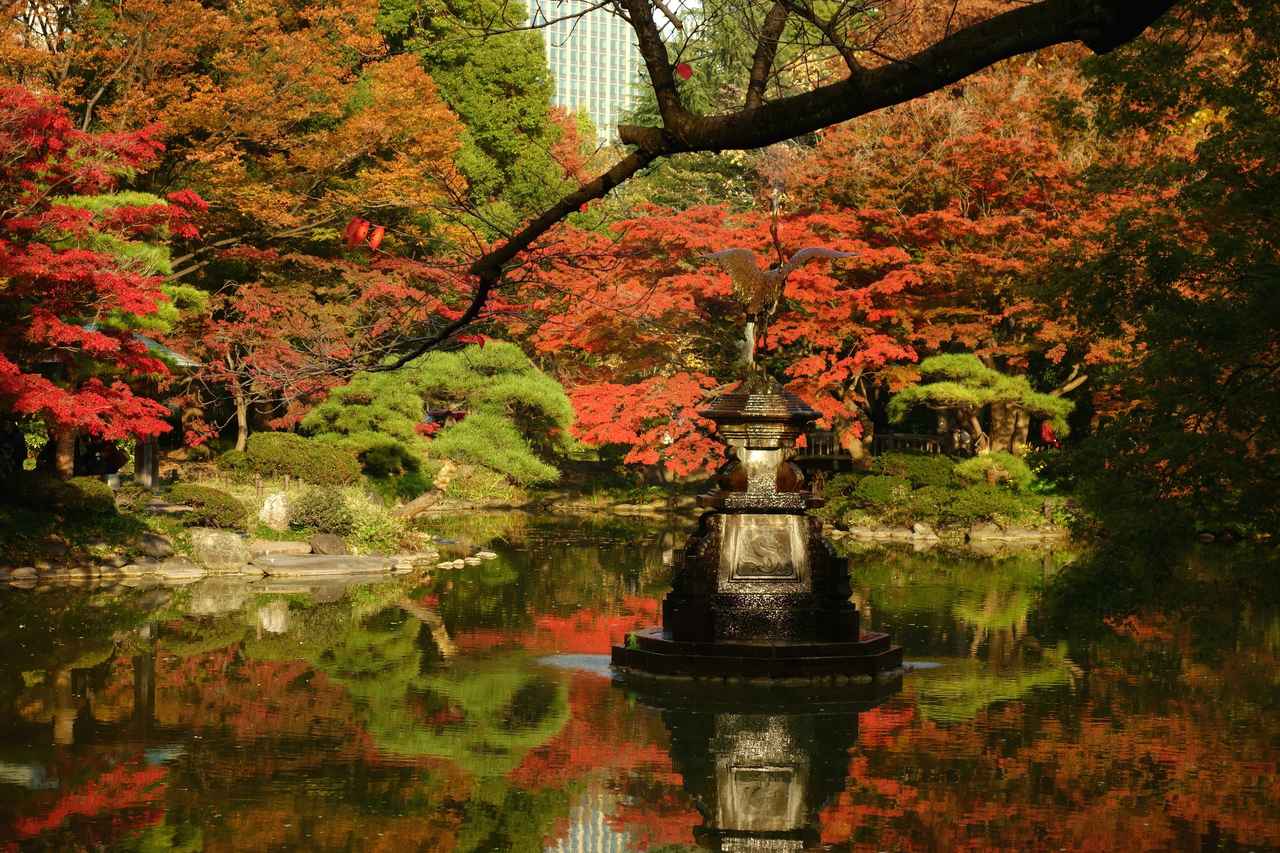 画像: 東京や神奈川のおすすめ紅葉スポット5選