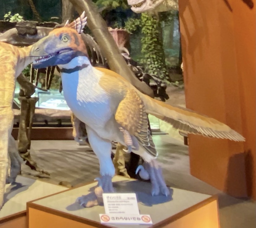 画像: ミュージアムパーク茨城県自然博物館にて撮影