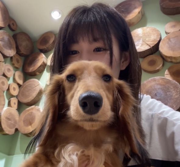画像: 現代の羽毛動物と!