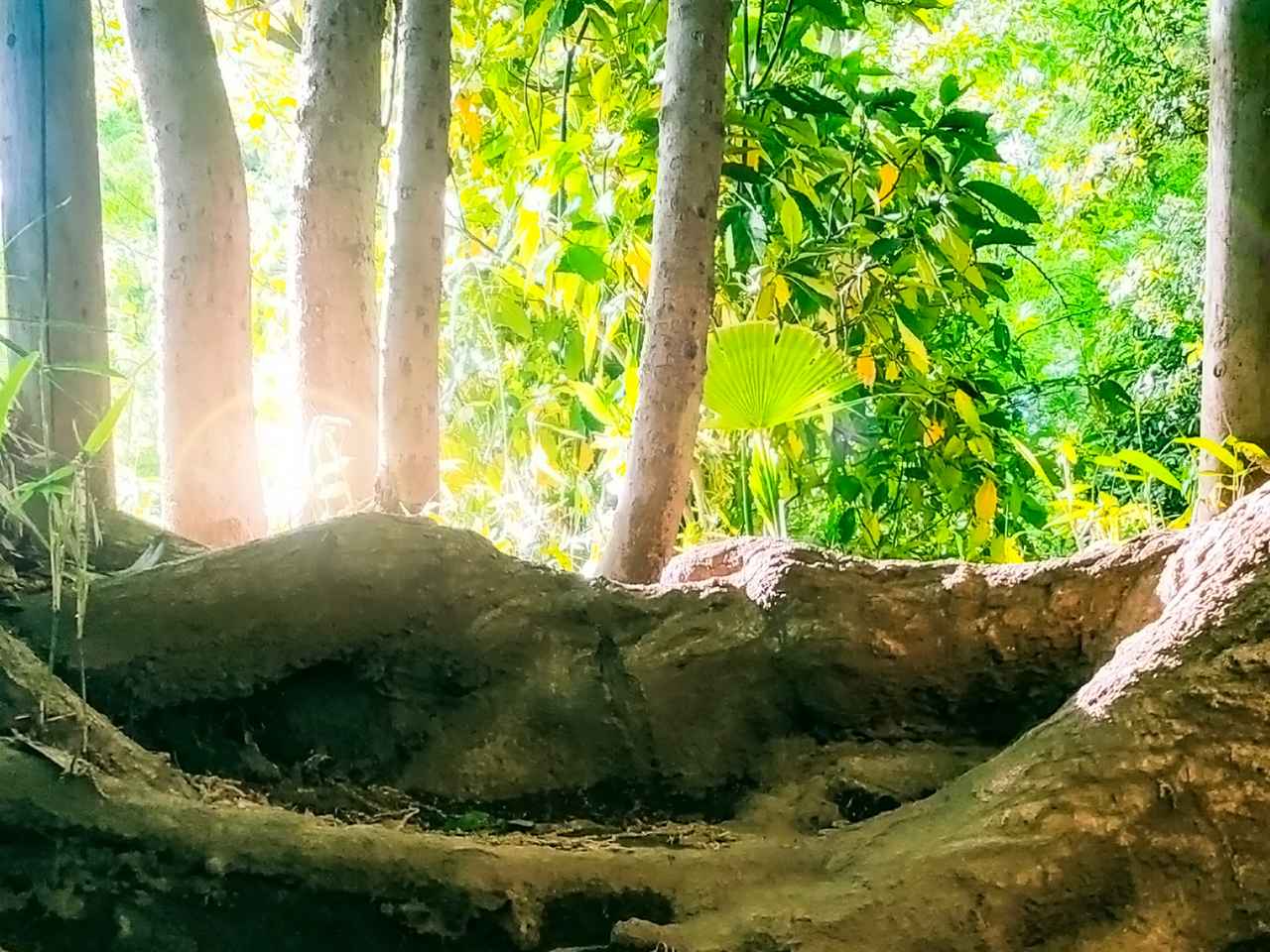 画像: 【ひとり旅プラン】御岩神社参拝と紅葉めぐり！ 日帰りパワースポットツアー5選 - singles （シングルス） - “おひとりさま”にフォーカスした情報サイト