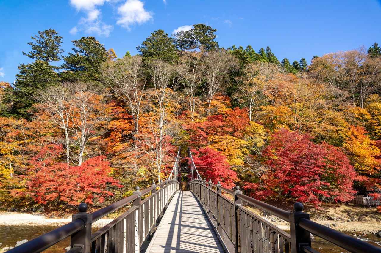 画像: 【ひとり旅プラン】世界遺産の名城や紅葉の上高地を巡る！ 秋を楽しむハイキングツアー5選 - singles （シングルス） - “おひとりさま”にフォーカスした情報サイト