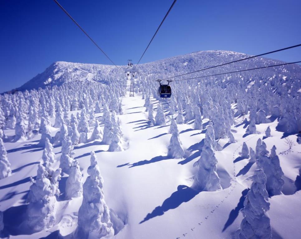 画像: ＜ひとり旅＞『羽黒山・三神合祭殿と山寺詣り　舟・ロープウェイから臨む銀世界　鳥海温泉「游楽里」連泊　３日間』｜クラブツーリズム
