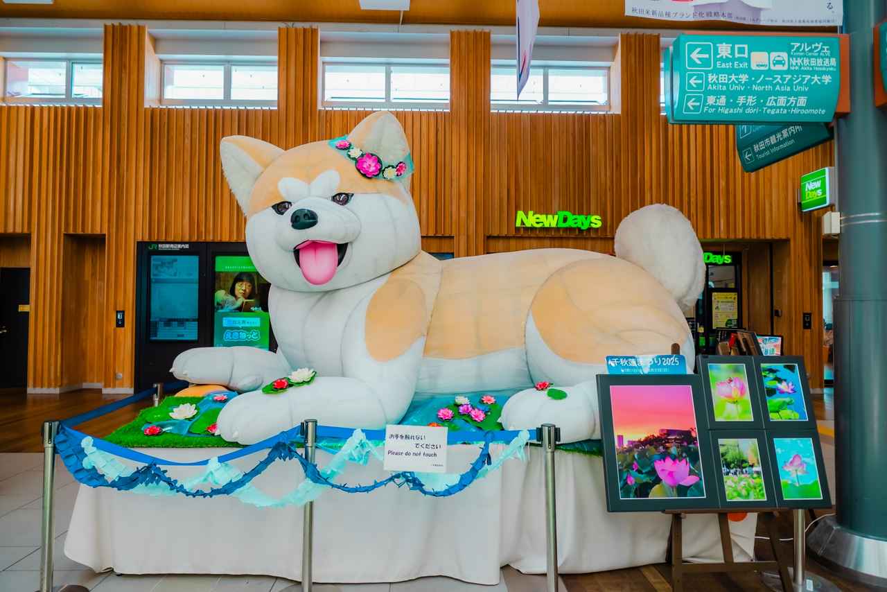 画像: 食事と温泉が自慢の宿で秋田旅行を楽しもう