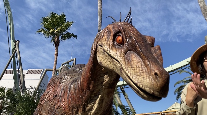 画像6: USJにて撮影