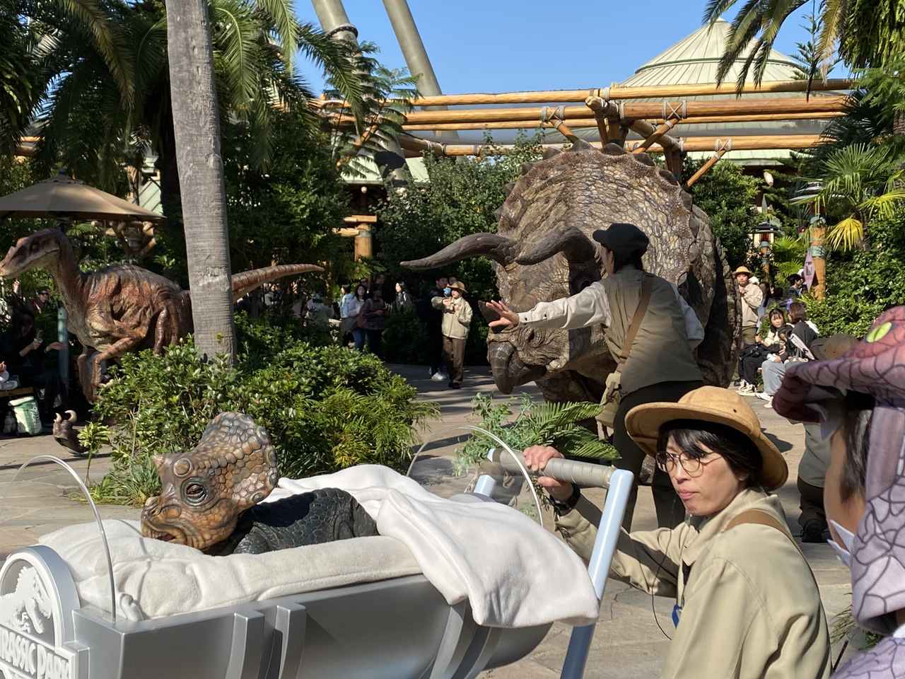 画像5: USJにて撮影