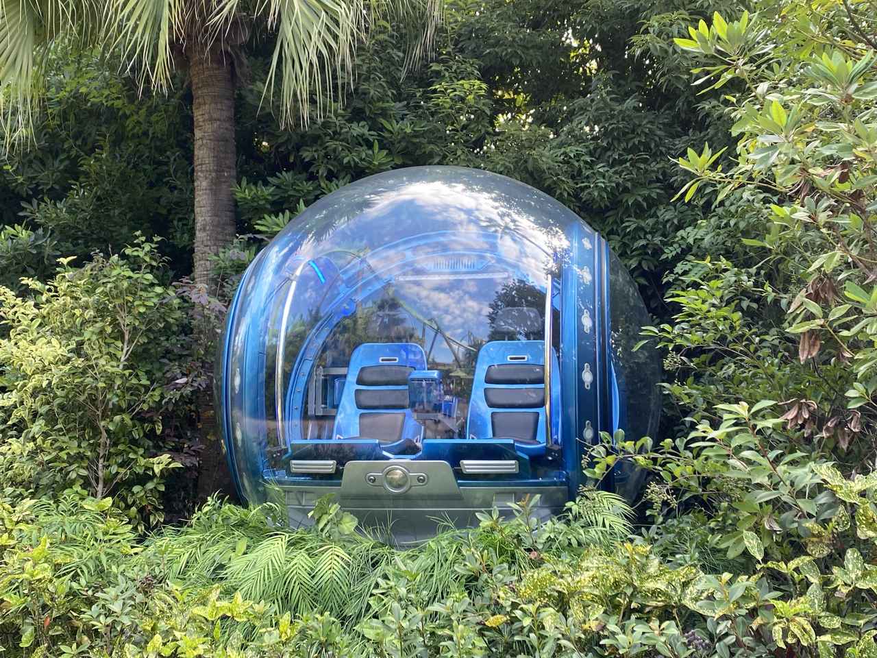 画像12: USJにて撮影