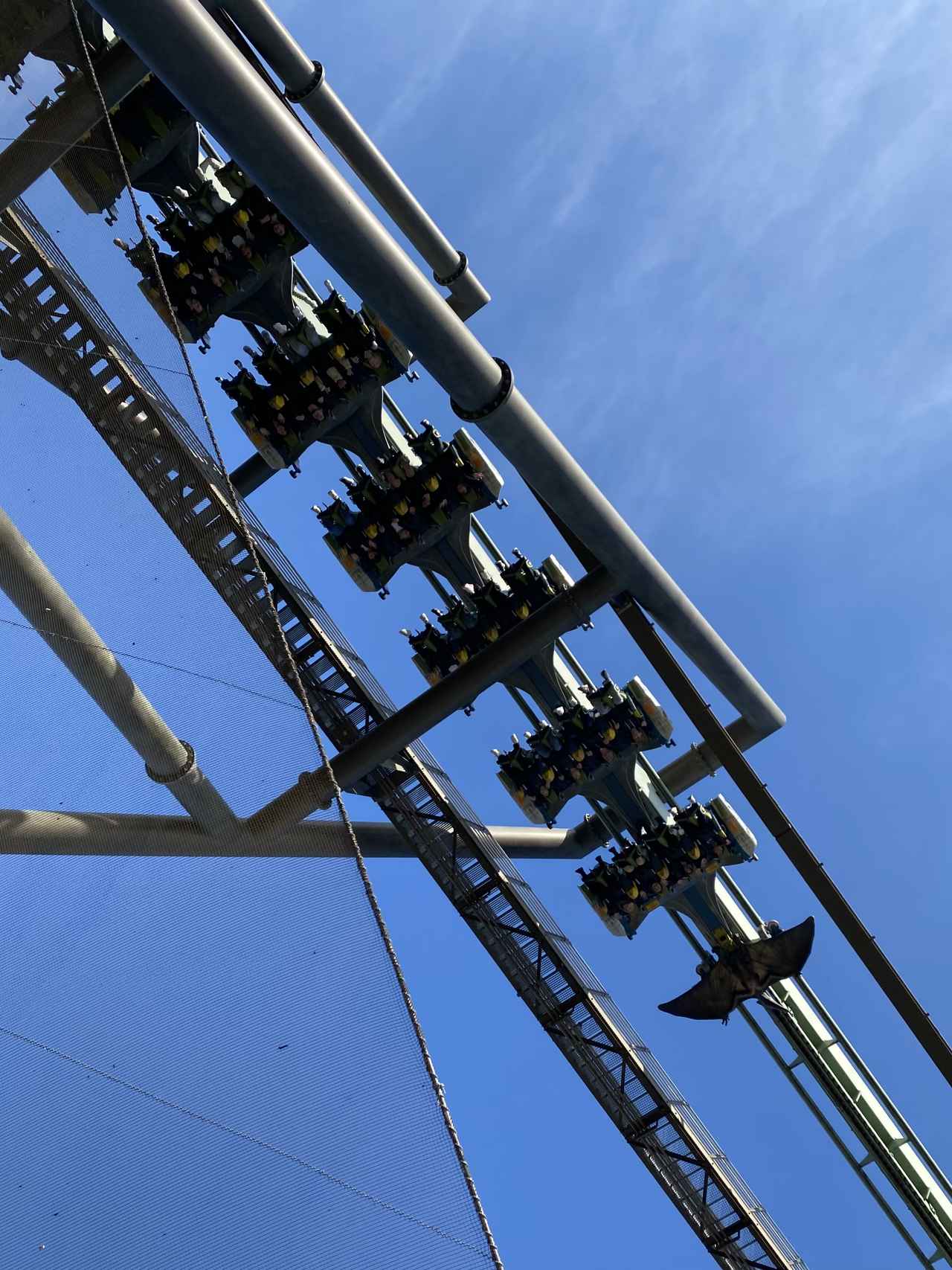 画像: 悲鳴が……