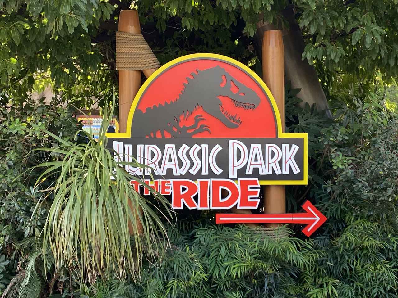 画像10: USJにて撮影