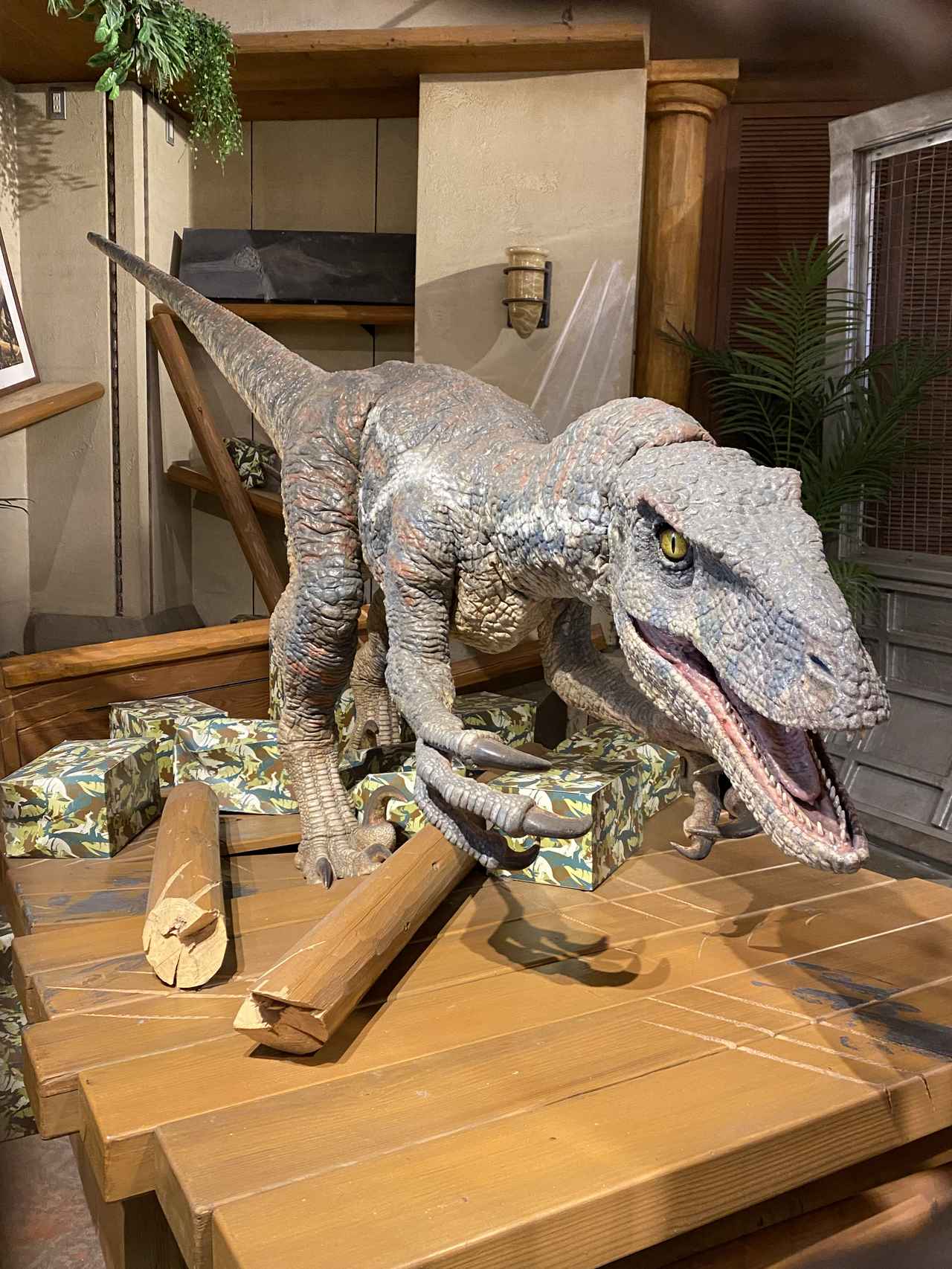 画像8: USJにて撮影