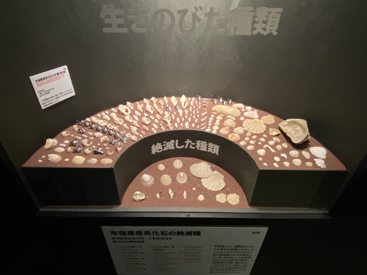 画像1: 大絶滅展にて撮影