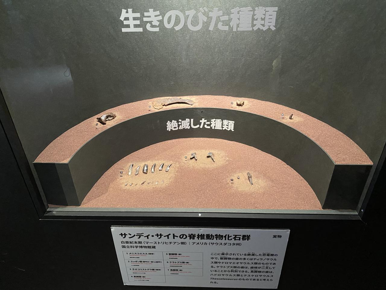 画像2: 大絶滅展にて撮影