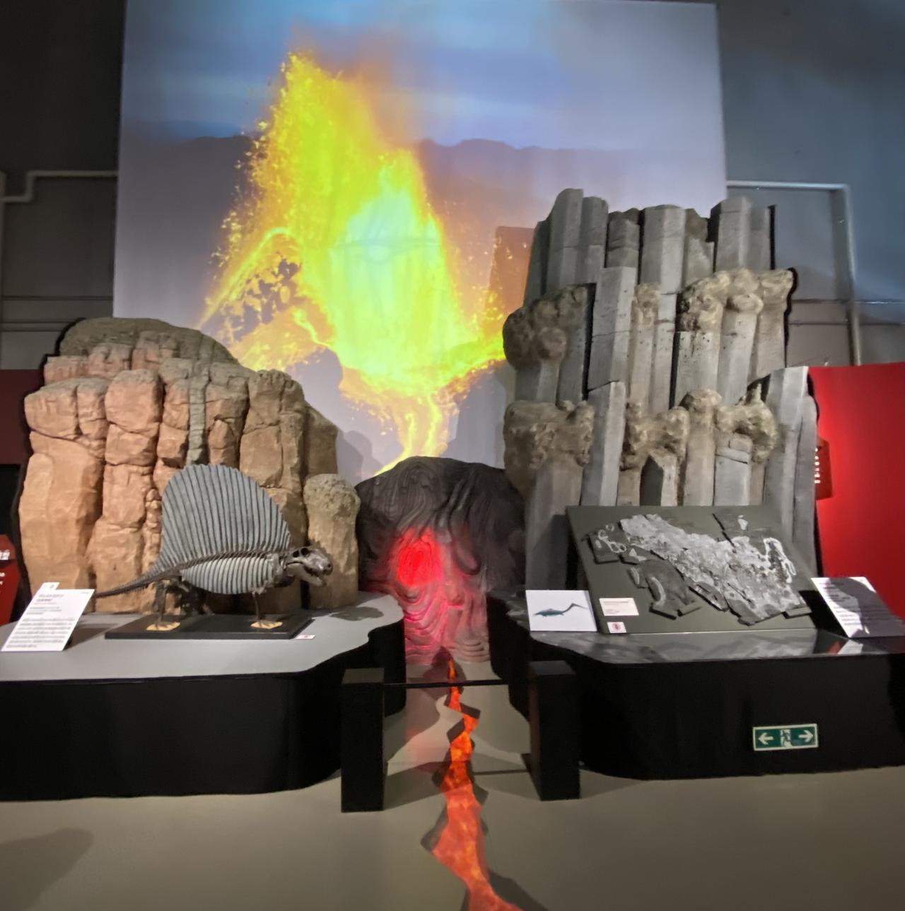 画像: 大絶滅展にて撮影。左がディメトロドン