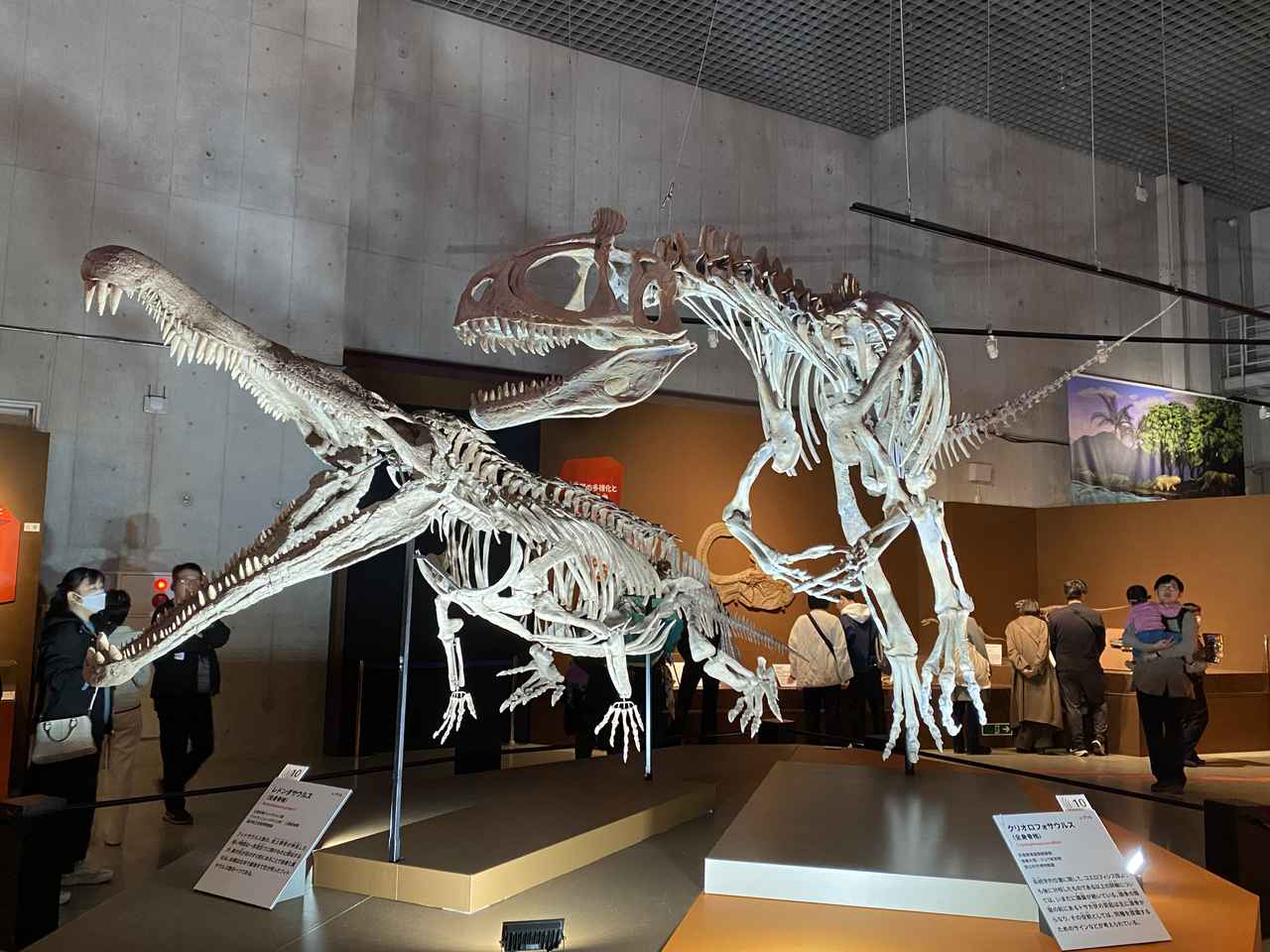 画像: なぜ絶滅したのか？ 恐竜を含む生き物が消えた「ビッグファイブ」の歴史を知ろう - singles （シングルス） - “おひとりさま”にフォーカスした情報サイト