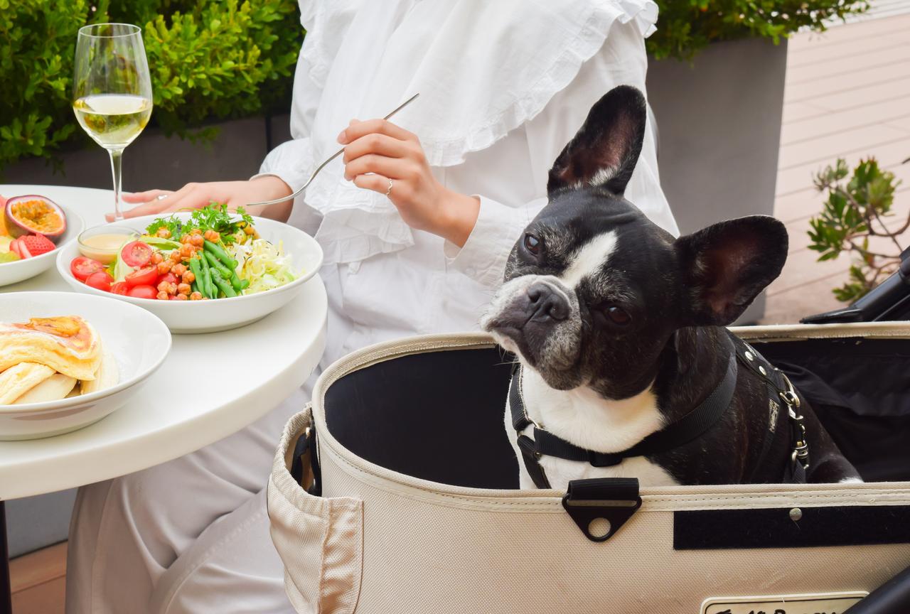 画像: ペットと楽しむ特別なお食事時間 ※ペット同伴時のマナー・ルールを事前にご確認の上お出かけください