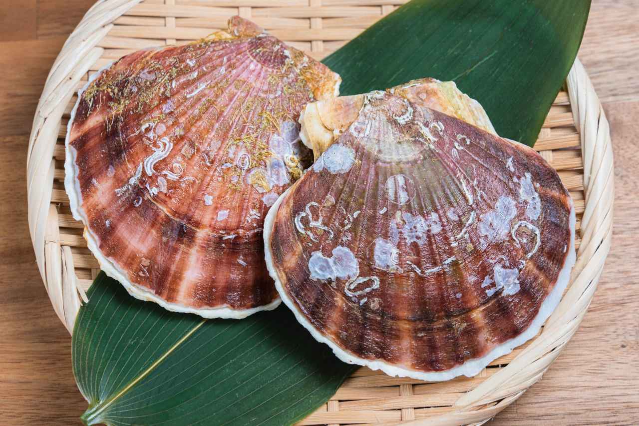 画像: 【ひとり旅プラン】越前ガニや大間のマグロも! 地元グルメを堪能する贅沢美食ツアー5選 - singles (シングルス) - “おひとりさま”にフォーカスした情報サイト