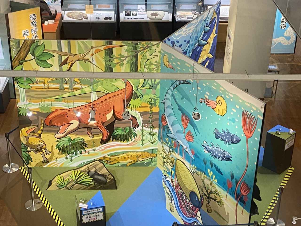 画像: 恐竜じゃない展にて撮影