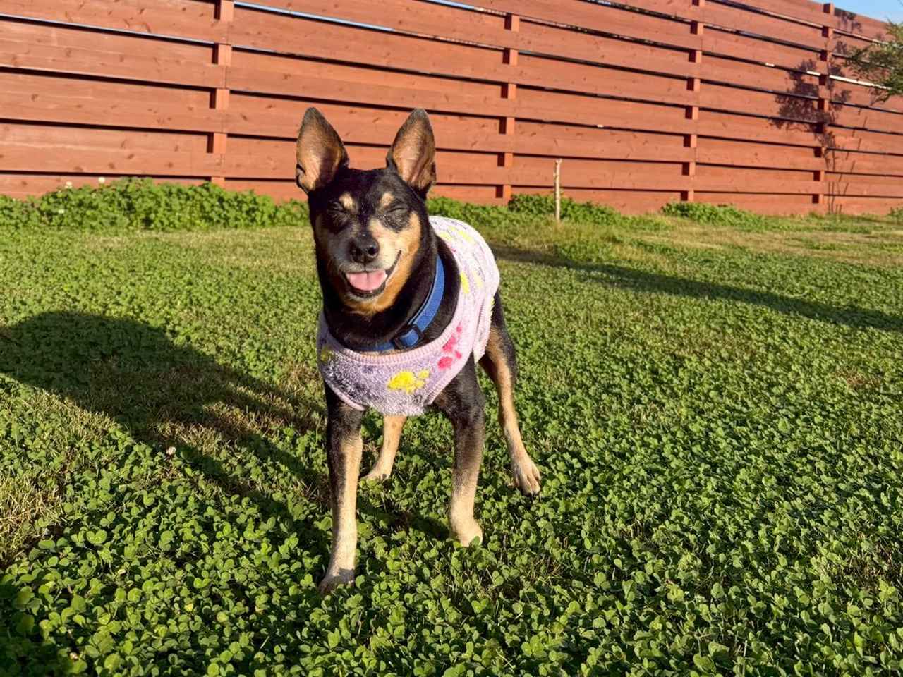 画像: たくさん遊んで