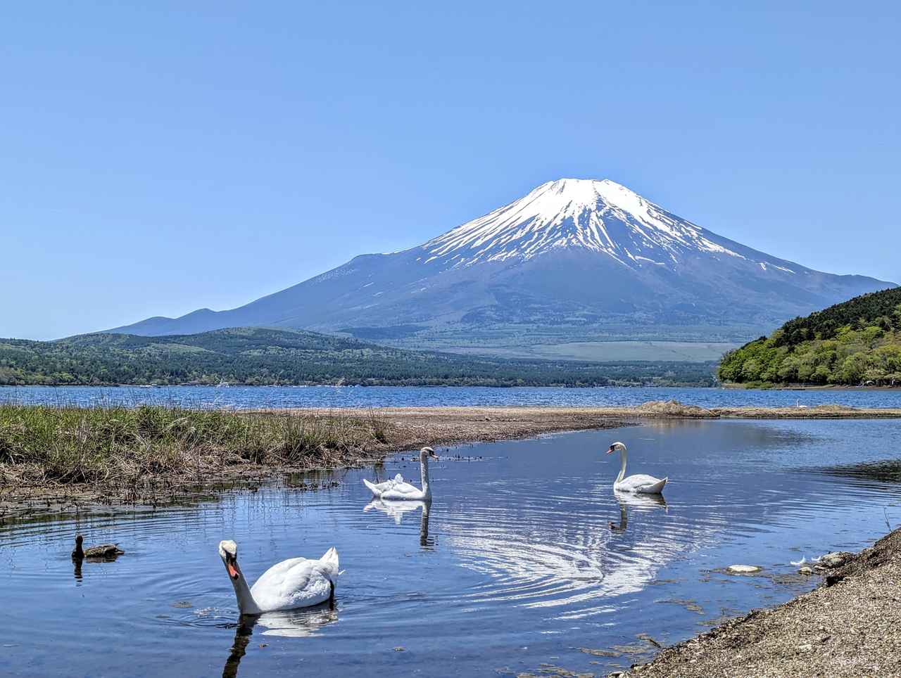 画像: 【予算別ホテル：山梨編】富士山や河口湖をたっぷり満喫！ おすすめのホテル5選 - singles （シングルス） - “おひとりさま”にフォーカスした情報サイト