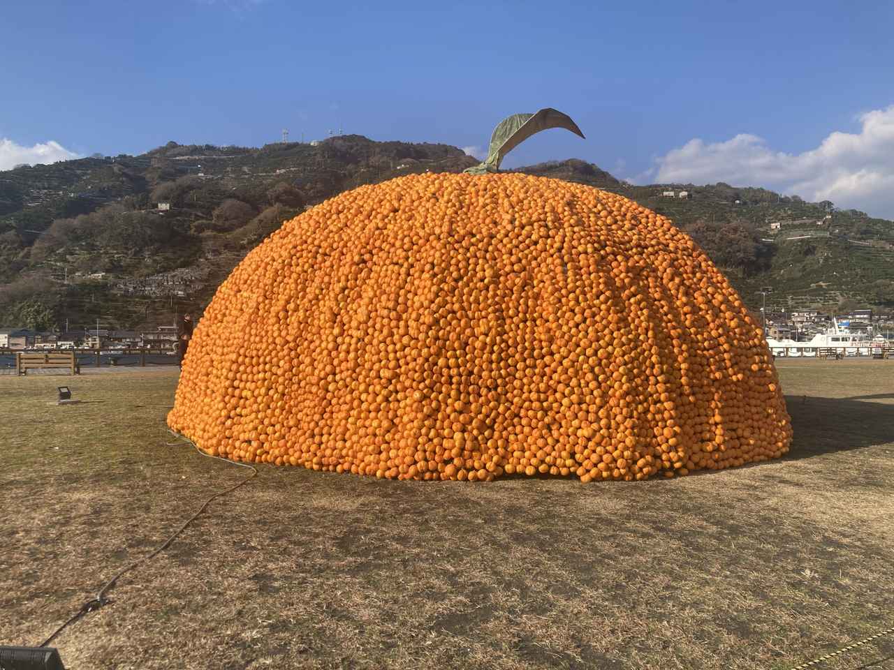 画像: ホテルで美味しい食事をいただき旅行をさらに楽しもう