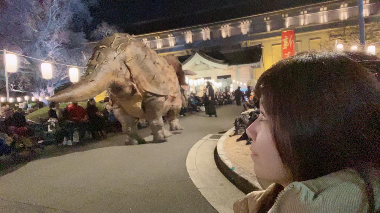 画像: トリケラトプスと！