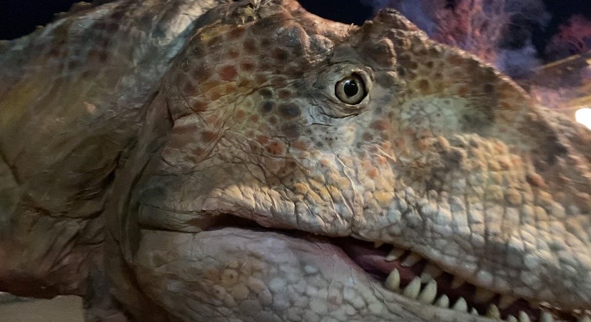 画像1: いざ！ 恐竜大夜行！