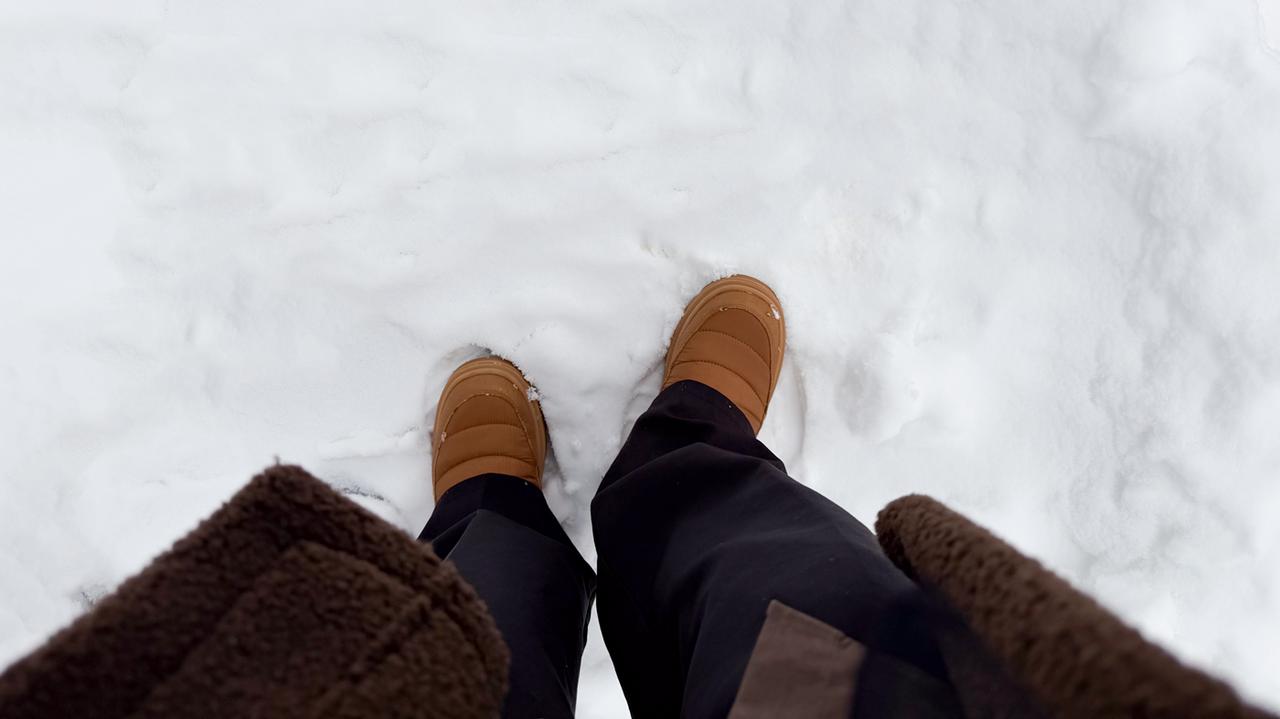 画像: 毎シーズンお世話になろうと思います