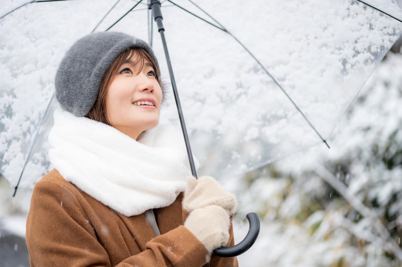 画像: 【ひとり旅プラン】日本料理やフレンチに舌鼓！ 冬グルメを堪能できるツアー5選 - singles （シングルス） - “おひとりさま”にフォーカスした情報サイト