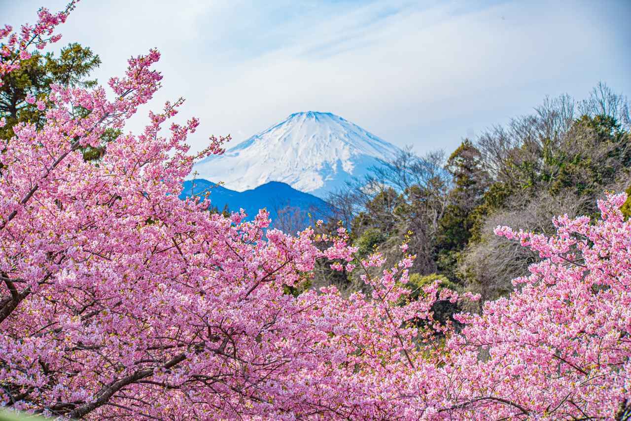 画像: 【ひとり旅プラン】富士屋ホテルや箱根なだ万雅殿のランチ！ 関東出発予算3万円のグルメ旅5選 - singles （シングルス） - “おひとりさま”にフォーカスした情報サイト