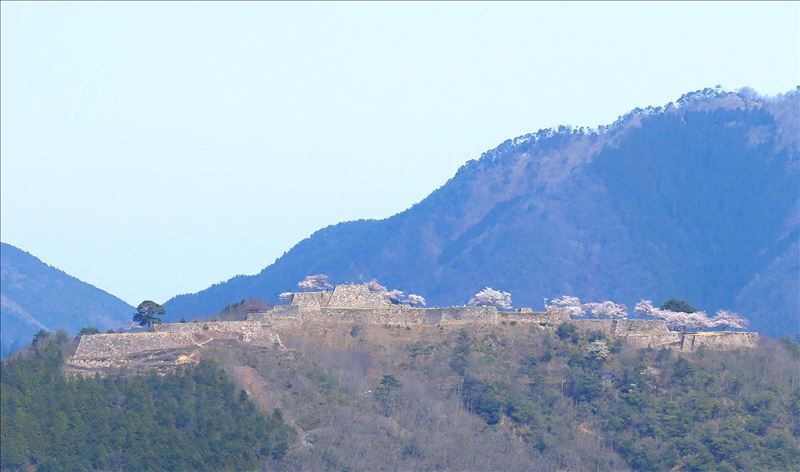 画像: <ひとり旅>『姫路城は朝も夜もお楽しみ!桜舞う「竹田城跡」と朝一番で行く世界遺産「姫路城」の桜 2日間』<ハイキング入門>|クラブツーリズム