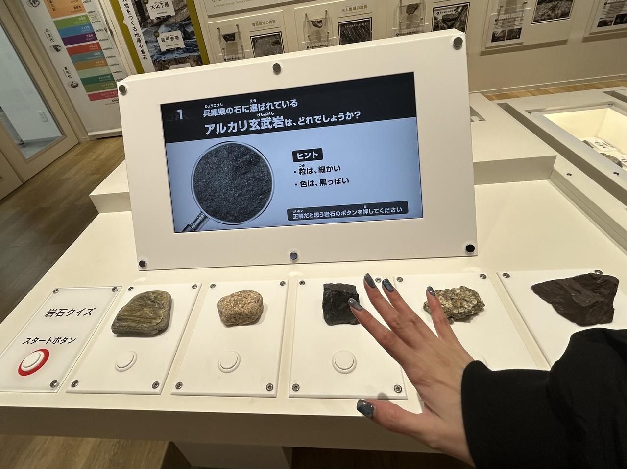 画像2: たんば恐竜博物館にて撮影