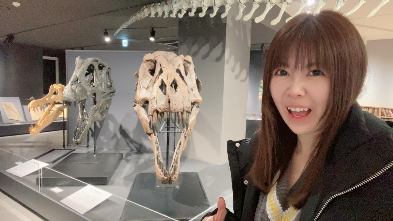 画像6: たんば恐竜博物館にて撮影