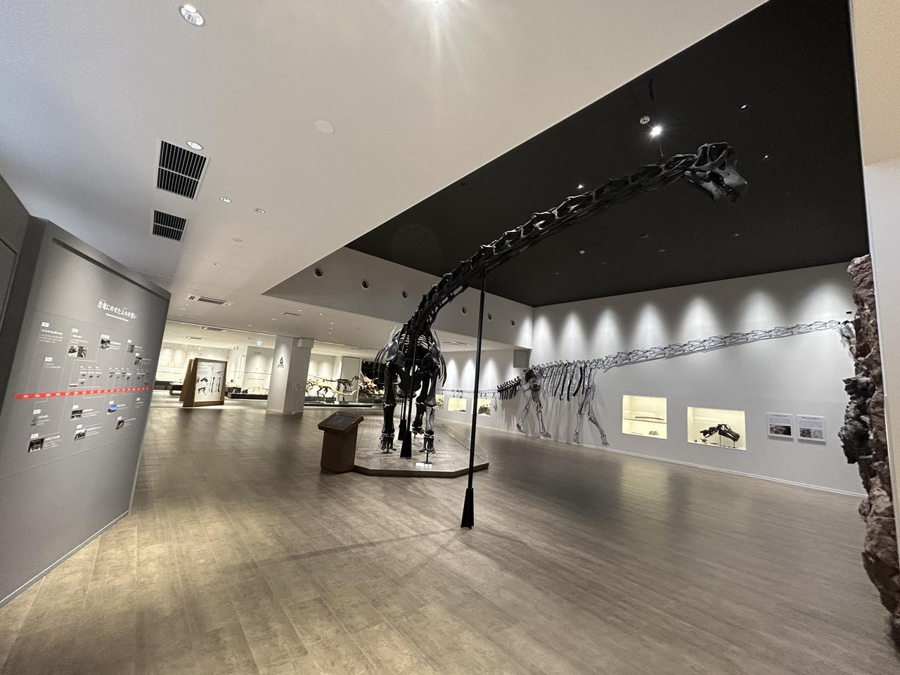 画像3: たんば恐竜博物館にて撮影