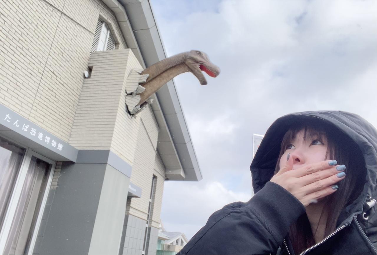 画像: 外観は相変わらず、丹波竜が建物を突き破って頭を出していました