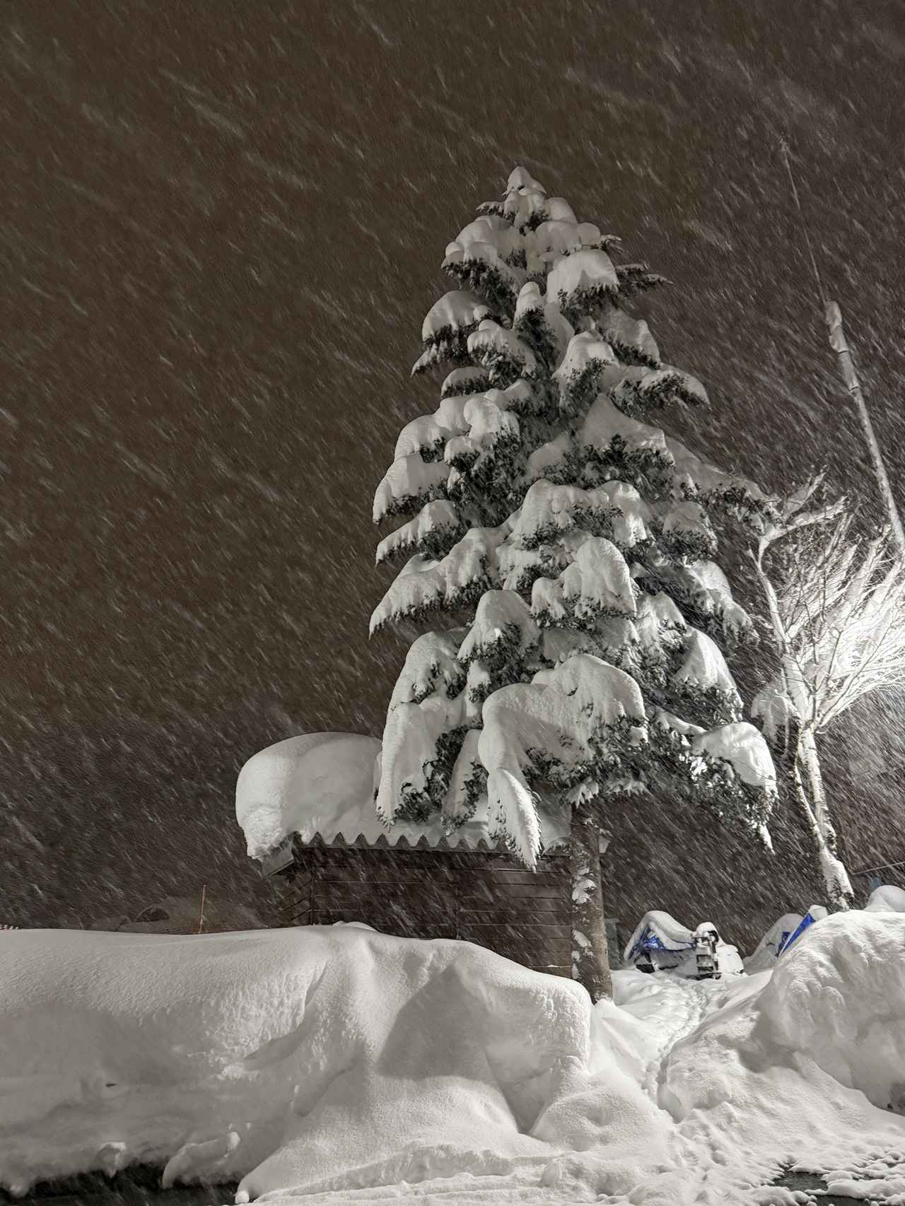 画像: ちなみに、先日再び新潟に行ったとき、もはや吹雪レベルでしたが「Tyler」で戦えました。防水機能にもめちゃくちゃ助けられています