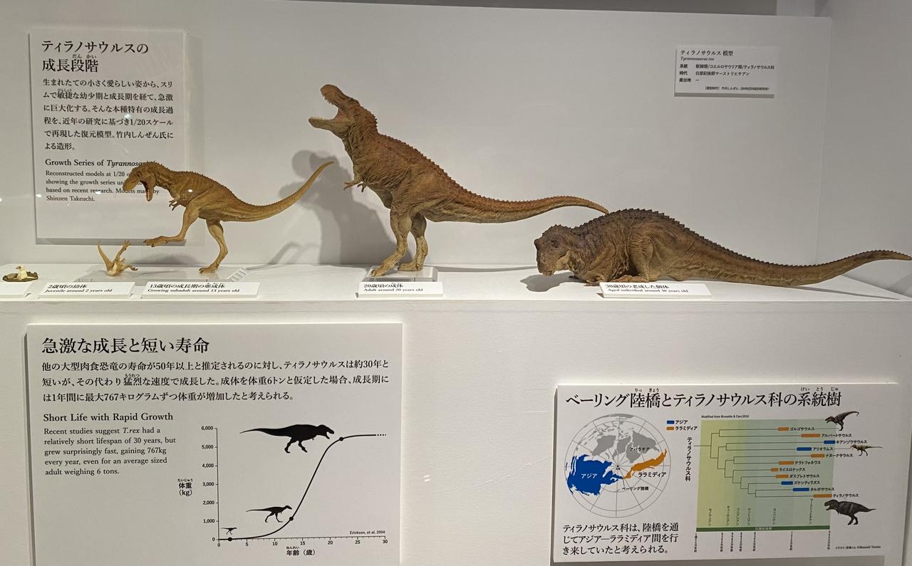 画像2: DinoScience 恐竜科学博 2023にて撮影