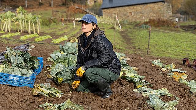 画像5: (C)Arcadia Motion Pictures, S.L., Caballo Films, S.L., Cronos Entertainment, A.I.E,Le pacte S.A.S.