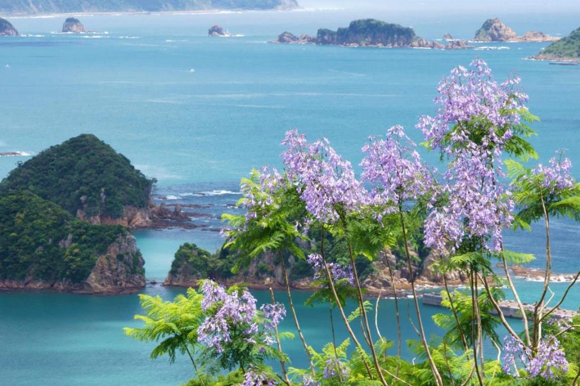 画像: ＜女性限定ひとり旅＞『紫の桜ジャカランダと一面の紫陽花　高千穂・宮崎のパワースポット３日間』｜クラブツーリズム