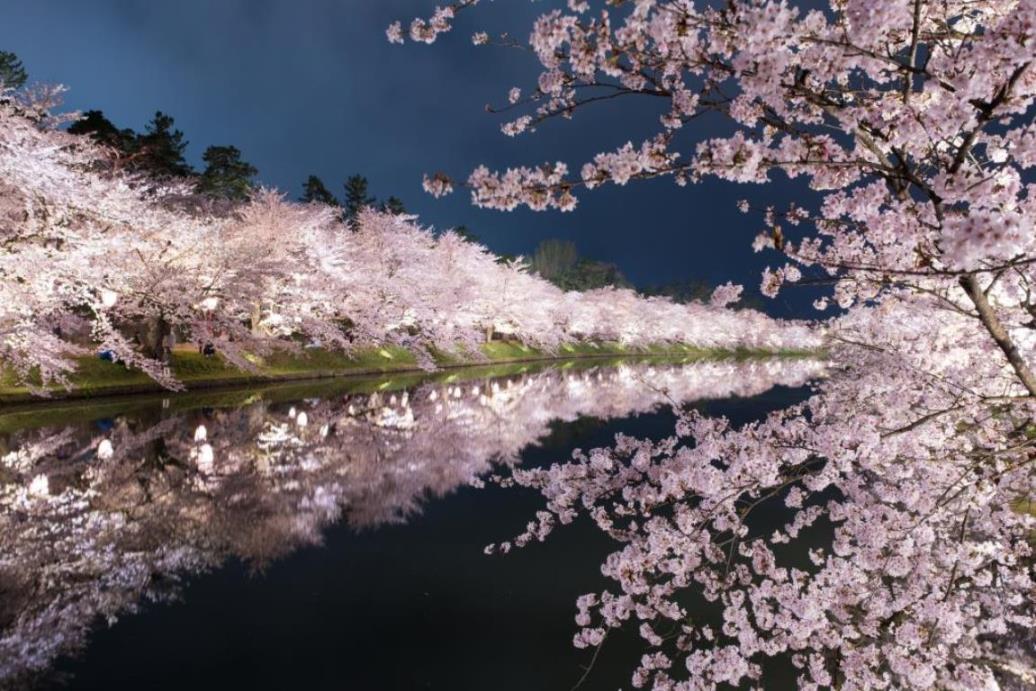 画像: ＜ひとり旅＞『弘前公園は夜桜観賞も！東北から北海道へ列車でつなぐ桜旅 ３日間』｜クラブツーリズム