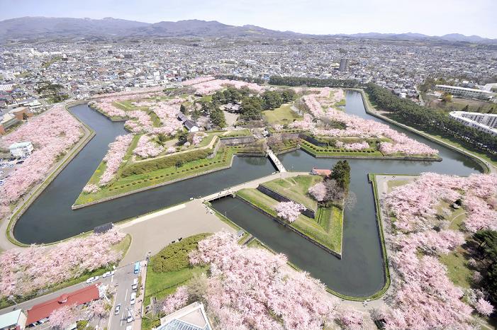 画像: ＜ひとり旅＞『早咲きから遅咲きまで楽しめる「松前公園」 ピンクの星型の城郭「五稜郭公園」２つの桜紀行　２日間』｜クラブツーリズム