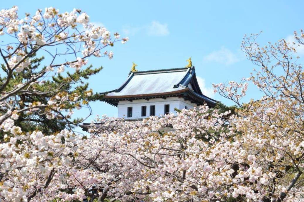 画像: ＜ひとり旅＞『バスガイドさん同行でご案内！函館・松前⑦つの桜めぐり　２日間』｜クラブツーリズム