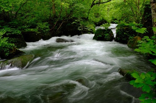 画像: <ひとり旅>『八幡平・十和田湖・奥入瀬渓流・青の絶景 白神山地「青池」 絶景のローカル線「五能線」 3日間』|クラブツーリズム