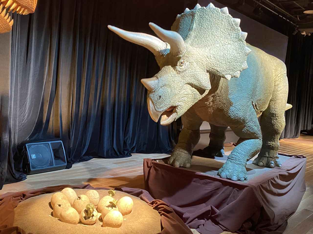 画像: ダイナソーズイマージュにて撮影