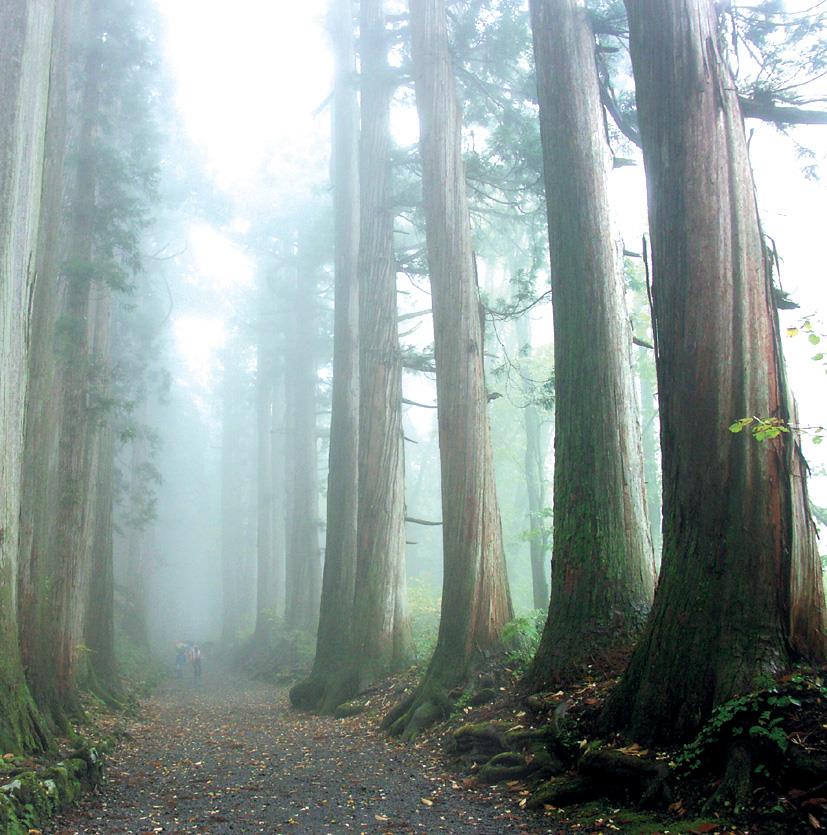 画像: ＜ひとり旅＞『現地案内人とじっくりめぐる　戸隠五社巡りと善光寺　２日間』＜ミニハイキング＞｜クラブツーリズム