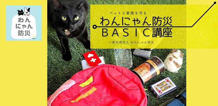 画像: 5/22.23日開催：わんにゃん防災BASIC講座（2Days講座）