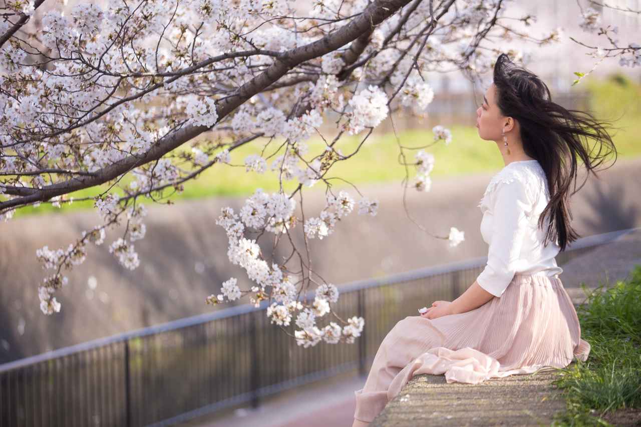 画像: 【ひとり旅プラン】松前桜三大名木を観賞も! 北海道の桜ツアー5選 - singles (シングルス) - “おひとりさま”にフォーカスした情報サイト